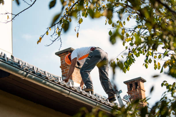 Best Roof Gutter Cleaning  in Montpelier, ID