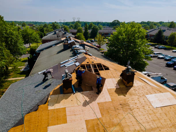 Roof Gutter Cleaning in Montpelier, ID